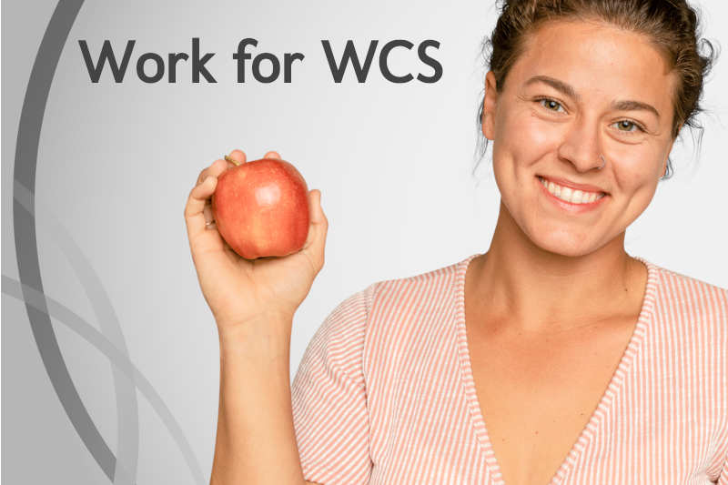 wood county schools - work for us